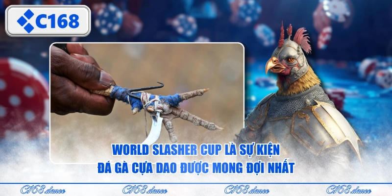 World Slasher Cup là sự kiện đá gà cựa dao được mong đợi nhất